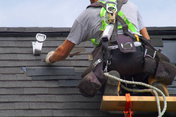 Best Gutter Installation and Roofing  in Lauderdale, MN