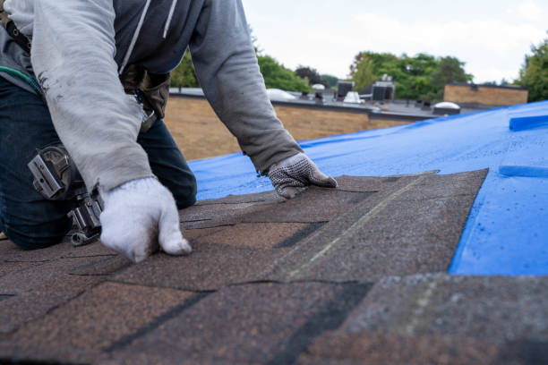 Best Commercial Roofing Services  in Lauderdale, MN