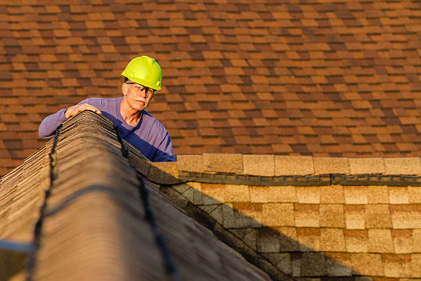 Roof Repair Estimates in Lauderdale, MN