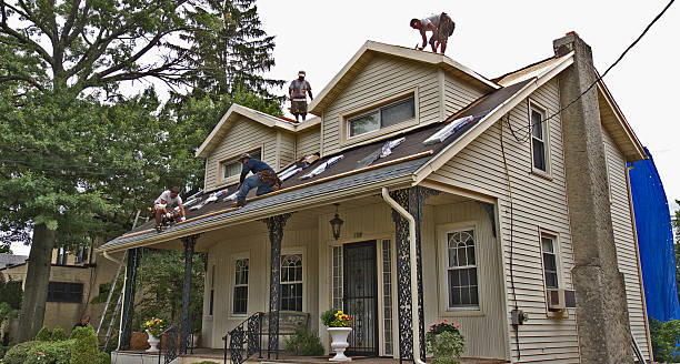 Best Roof Repair Estimates  in Lauderdale, MN