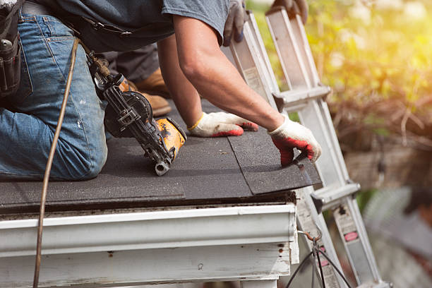 Best Roof Leak Repair  in Lauderdale, MN
