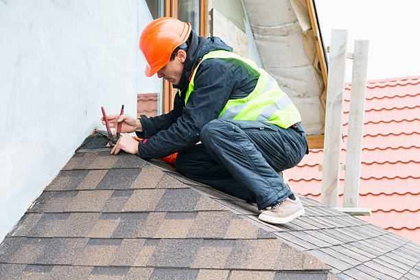 Best Roof Gutter Cleaning  in Lauderdale, MN