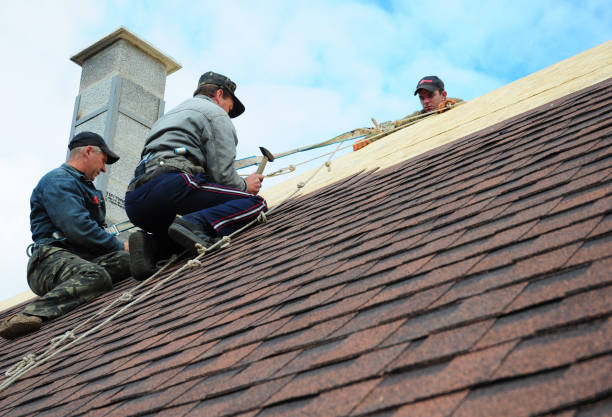 Best Best Roofing Contractors  in Lauderdale, MN