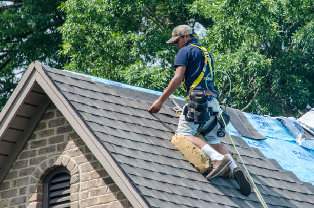 Best New Roof Installation  in Lauderdale, MN