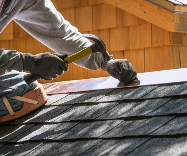Best Roof Leak Repair  in Lauderdale, MN